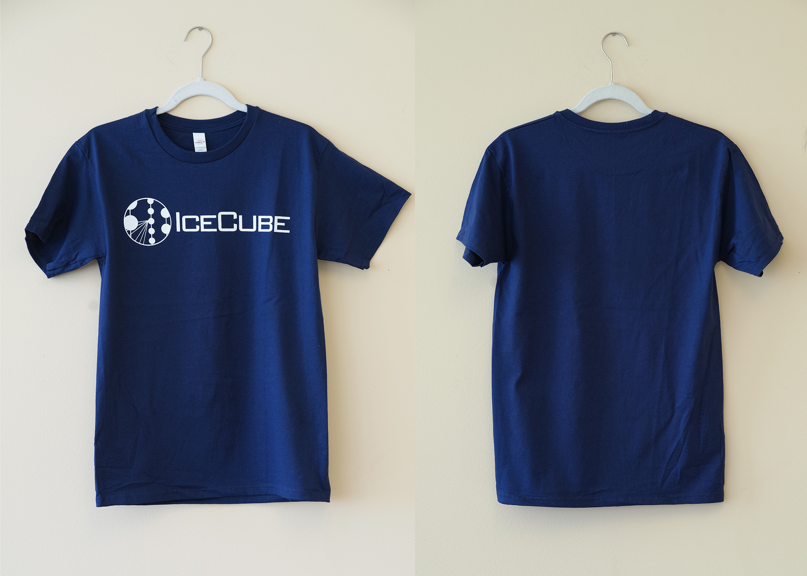 basic t-shirt