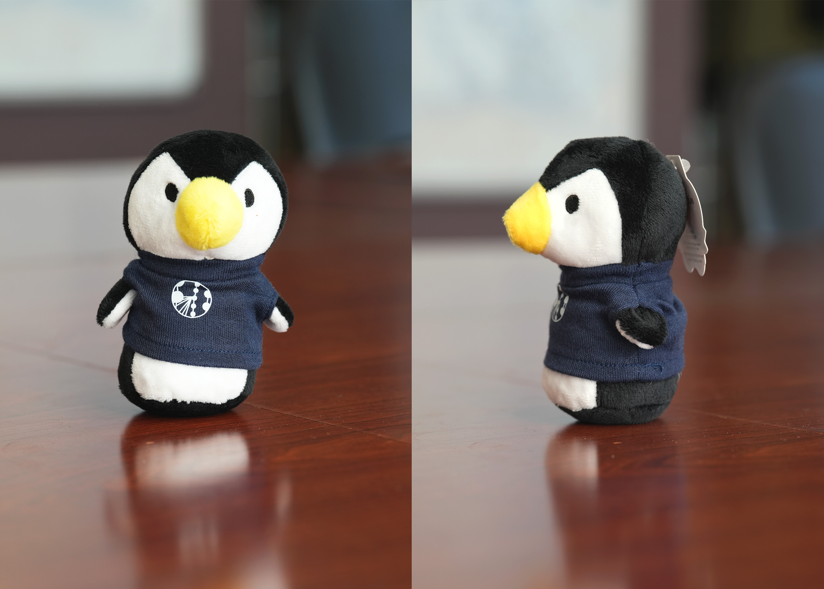Rosie the Penguin Mini Plush